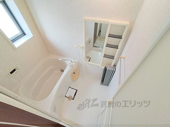 セントポーリアB_その他_0