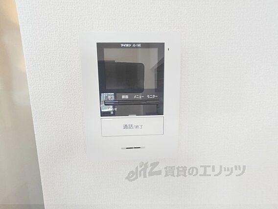 セントポーリアB_その他_5