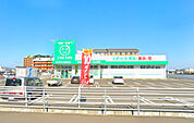 ザグザグ丸亀新田店(ドラッグストア)まで1317m
