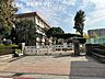 周辺：中洲小学校 260m