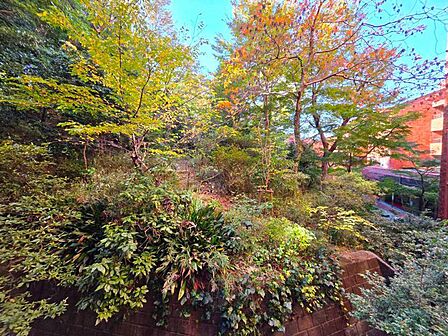 四季の移り変わりを感じられる緑豊かな住環境。緑に癒されるホッとした生活が送れそうです。