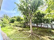 テラスから見える外の風景です。