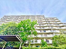 物件画像 東砂三丁目ハイツ7号棟