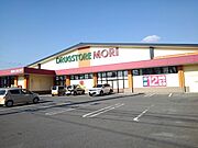 ドラッグストアモリ山川店まで750m
