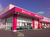 ドラッグストアコスモス 国分バイパス店（917m）