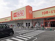ザ・ビッグ久留米すわの店まで540m