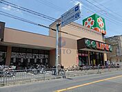 ライフ豊津店 385m