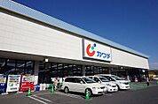 ドラッグストア 「カワチ薬品 泉が丘店まで911m」