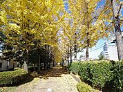 公園「駅東2号緑地まで243m」
