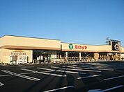 スーパー「たいらや川田店まで1037m」