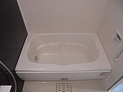 バス