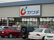 ドラッグストア 「カワチ薬品石井町店まで746m」