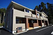 アビシニアン E
