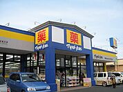 ドラッグストア 「マツモトキヨシ高根沢店まで697m」