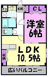 ベリーコート 1LDKの間取図画像