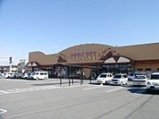 スーパー「フードオアシスOTANI五代店まで1183m」