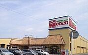 スーパー「フードマーケットオータニ野沢店まで419m」