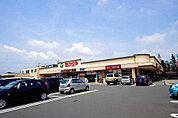 スーパー「エコス たいらや 石井店まで378m」