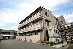 3 / 9