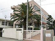 堺市立平尾小学校 790m