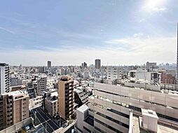 2026年2月撮影