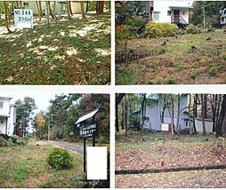 物件画像 福島県・猪苗代字不動