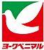 周辺：ヨークベニマル（1300m）