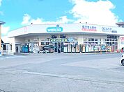 ウェルシア水戸平須店（1000m）