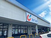 カワチ薬品浜田店（900m）