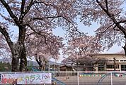 羽鳥幼稚園（1100m）