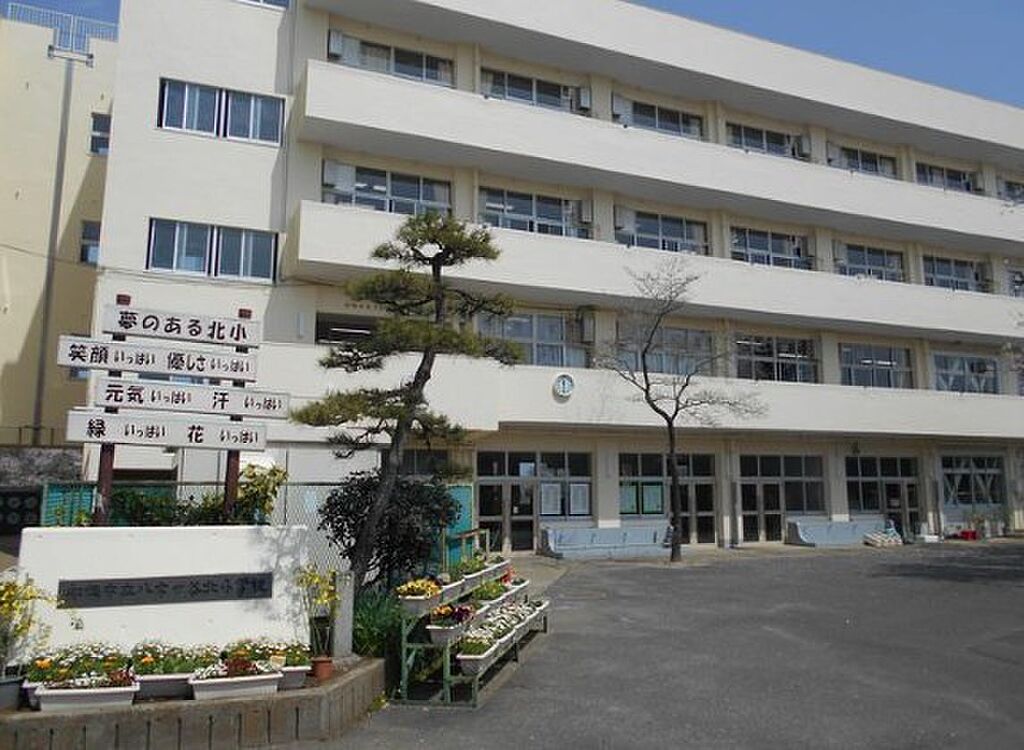 Image 68
