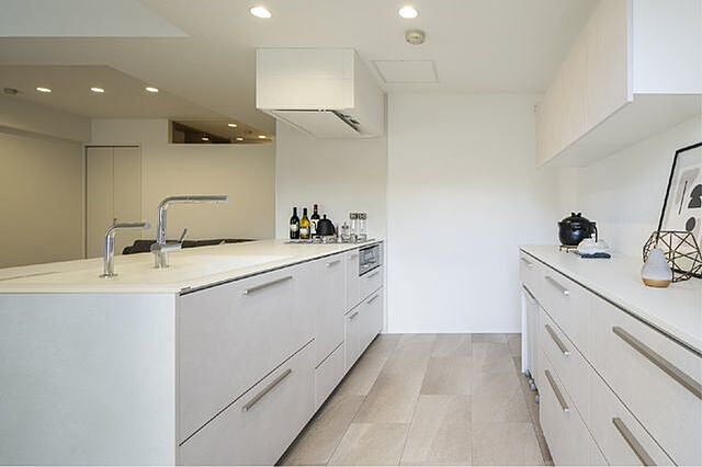 キッチン ライオンズマンション西岡 3階/-