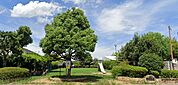 毛穴町まがも公園　徒歩2分