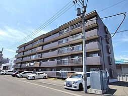 物件画像 エメラルドグリーン白石中央