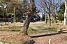 周辺：白鳥西公園 330m