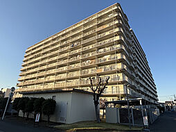 物件画像 アイビハイツ川口