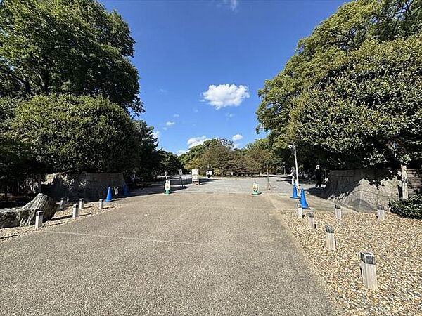 周辺を拡大表示