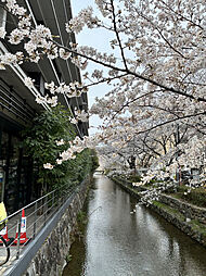 物件画像 イーグルコート御池高瀬川
