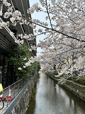 外観 イーグルコート御池高瀬川 3階/-