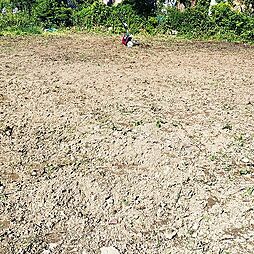 中戸建　大型庭付 6Kのリビング/ダイニング