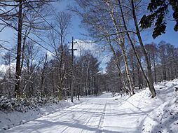 物件画像 上田市 菅平高原