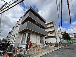 Sansevieria夏原