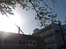 周辺：蓮田市立蓮田中学校 1310m