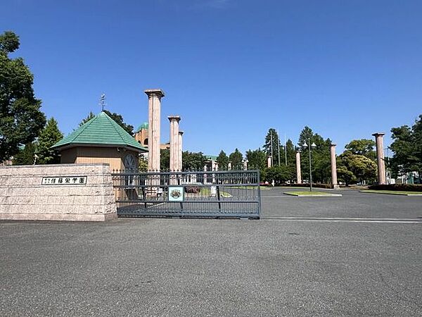 周辺を拡大表示