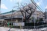 周辺：板橋区立前野小学校 500m