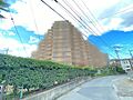 その他現地 