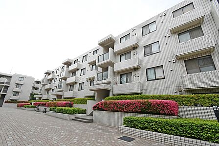 外観ひき