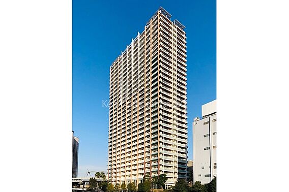 外観ひき