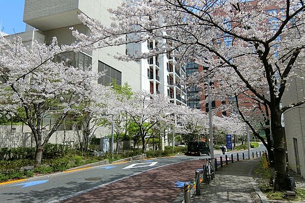 周辺を拡大表示