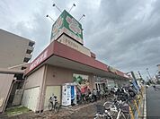 ライフ　太平寺店まで270メートル